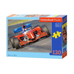 RACE TO WIN 120 елемента