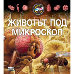 Животът под микроскоп с 3D очила