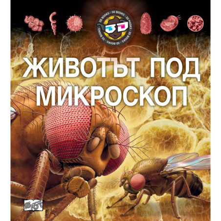 Животът под микроскоп с 3D очила