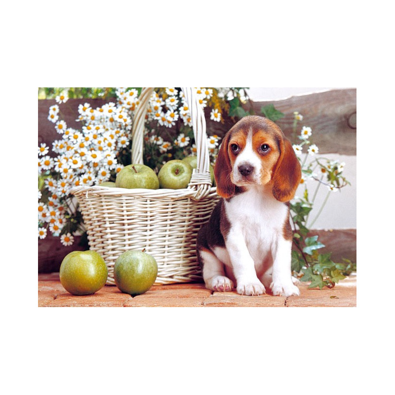Пъзел - Puppy with Apples