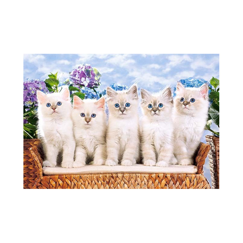 Пъзел - Blue-Eyed Kittens 