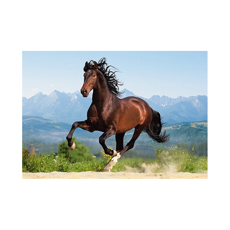 Пъзел - Galloping Andalusian