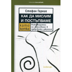 Как да мислим и постъпваме като котка