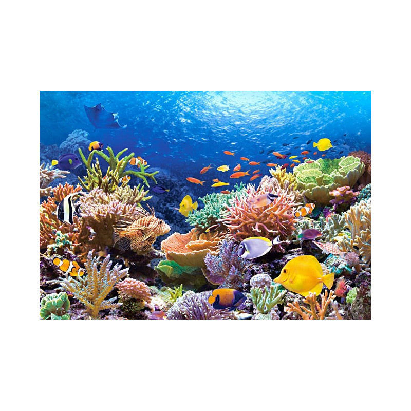 Пъзел - Coral Reef Fishes
