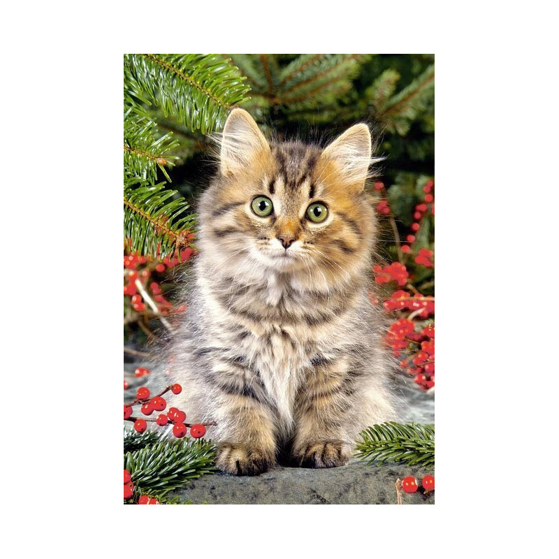 Пъзел - Maine Coon amongst Berries