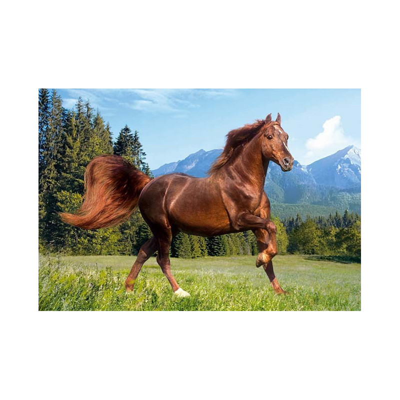 Пъзел - Rocky Mountain Horse