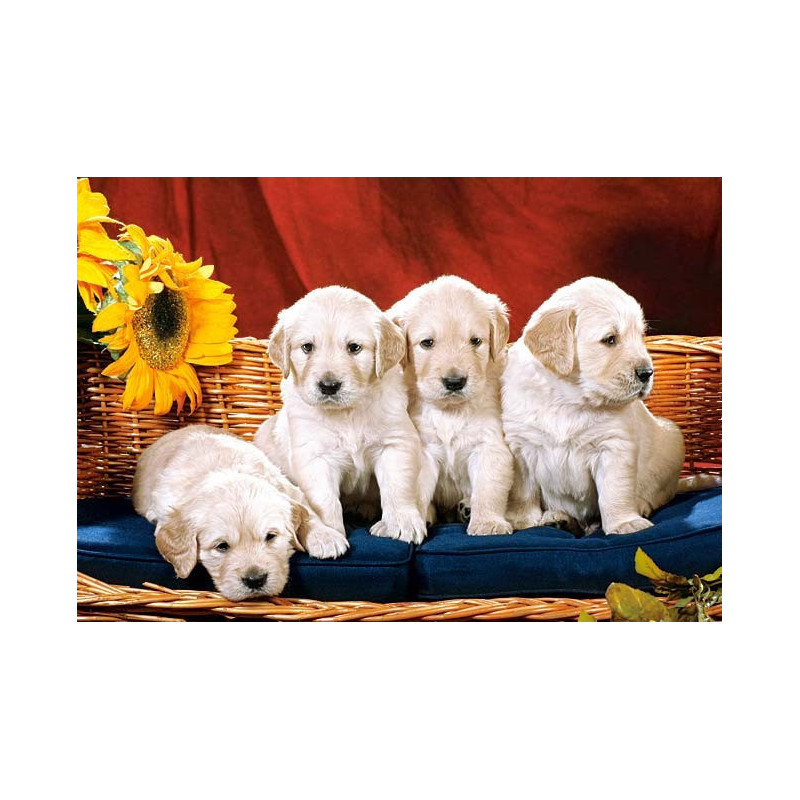 Пъзел - Puppies With Sunflower