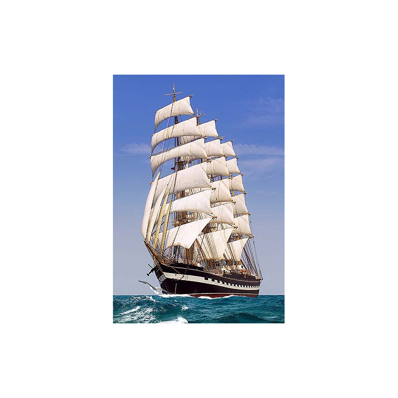 Sailing Ship 