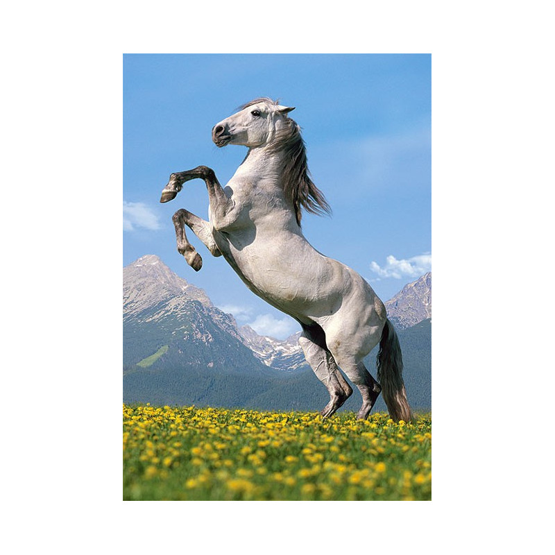 Пъзел - Paso Fino