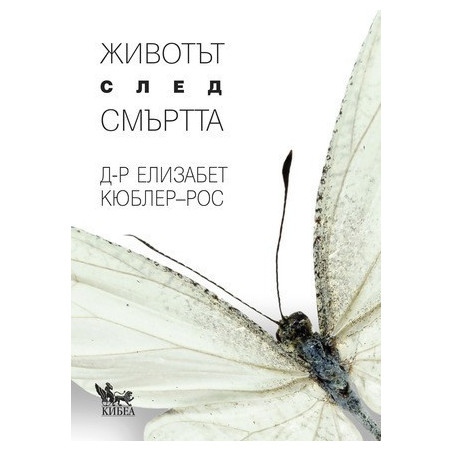 Животът след смъртта