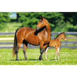 Пъзел - Mare and Foal