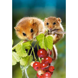 Пъзел - Hazel Mouse with Cub