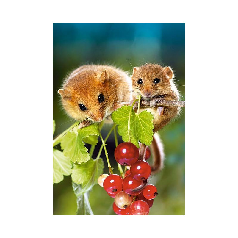 Пъзел - Hazel Mouse with Cub