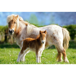 Пъзел - Ponies