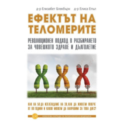 Ефектът на теломерите