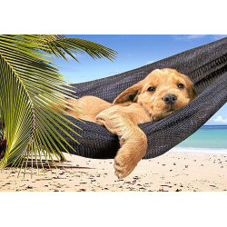 Leisure Time 