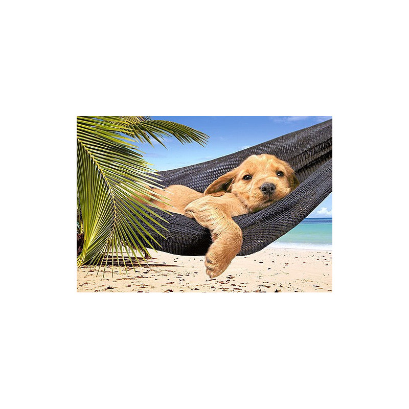 Leisure Time 