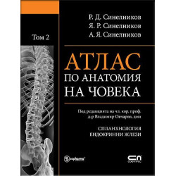 Атлас по анатомия на човека. Том 2: Сланхнология, Ендокринни жлези