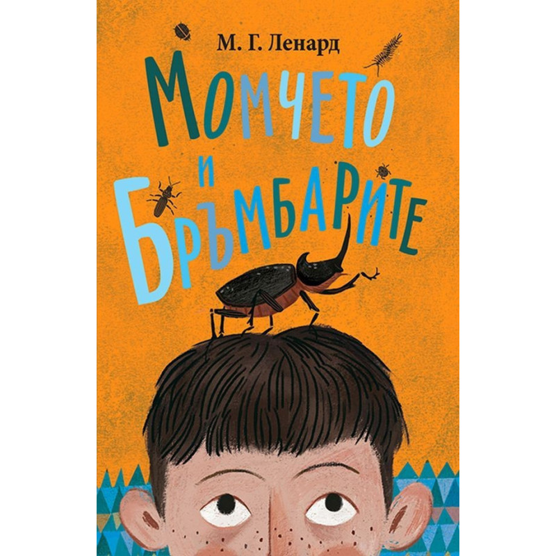 Момчето и бръмбарите