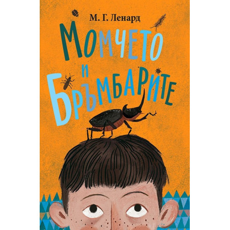 Момчето и бръмбарите