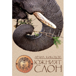 Южният слон