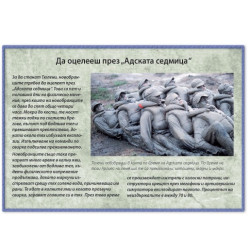 Безсмъртните. Най-великите бойци на всички времена