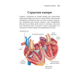 ЧОВЕШКОТО ТЯЛО. Илюстрован атлас