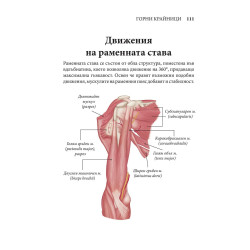 ЧОВЕШКОТО ТЯЛО. Илюстрован атлас