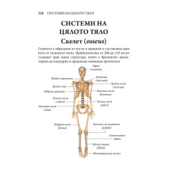 ЧОВЕШКОТО ТЯЛО. Илюстрован атлас