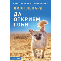 Да открием Гоби