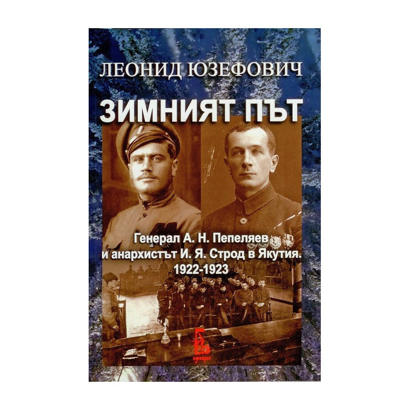 Зимният път