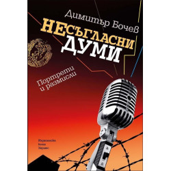 Несъгласни думи