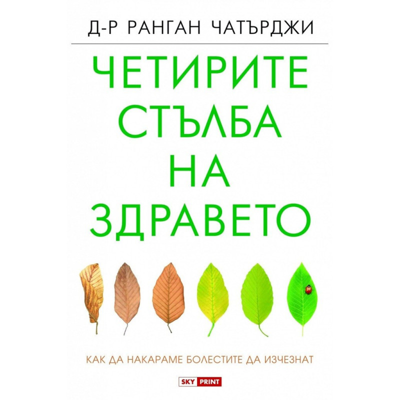 Четирите стълба на здравето