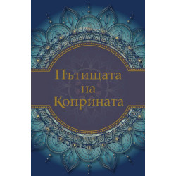 Пътищата на коприната