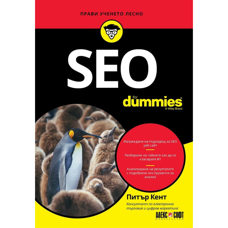 SEO for Dummies
