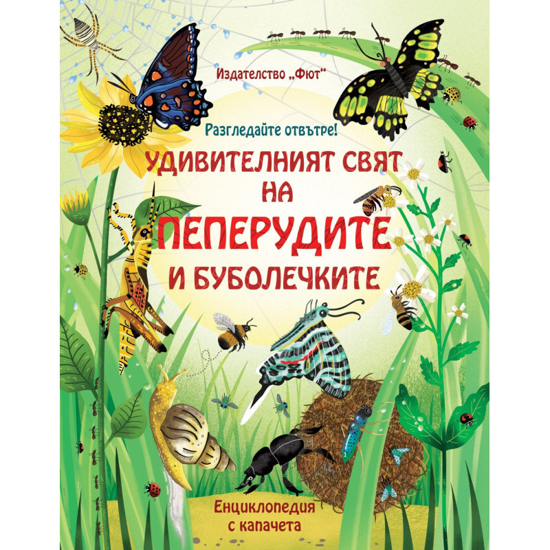 Удивителният свят на пеперудите и буболечките