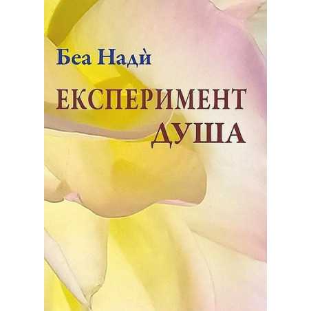 Експеримент душа