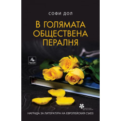 В голямата обществена пералня