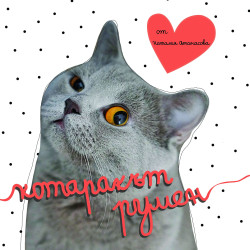 Котаракът Румен