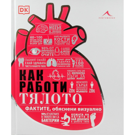 Как работи тялото