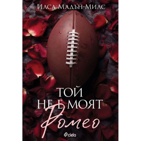 Той не е моят Ромео (The Game Changers 1)