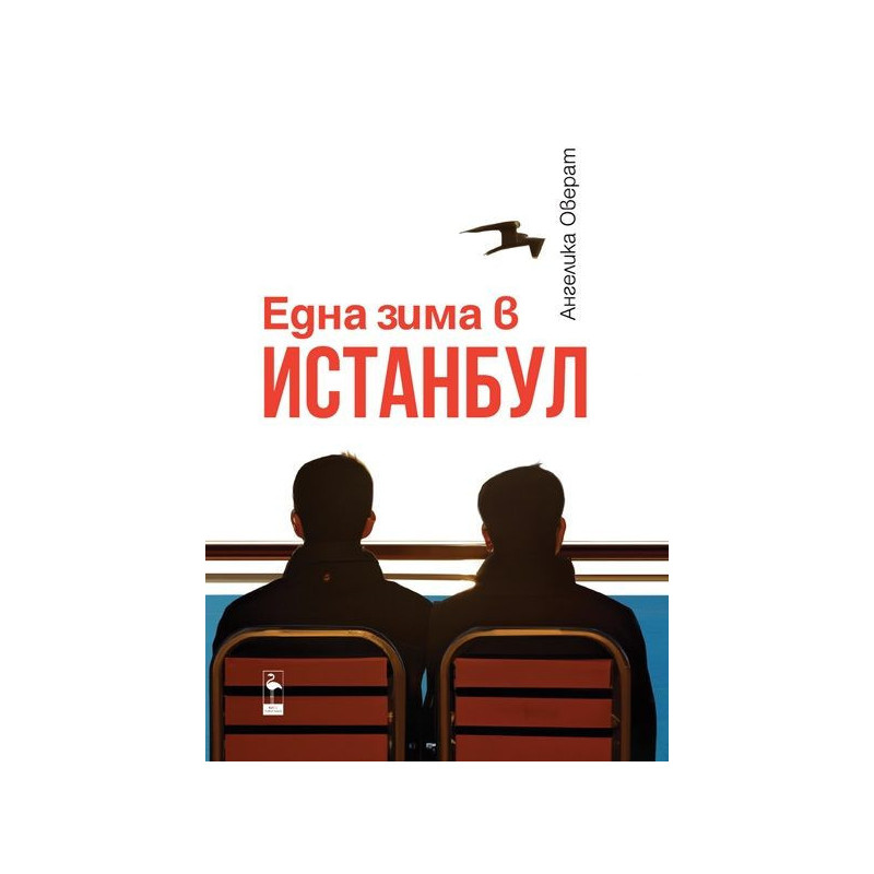 Една зима в Истанбул