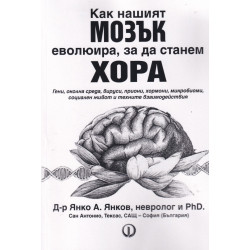 Как нашият мозък еволюира, за да станем хора