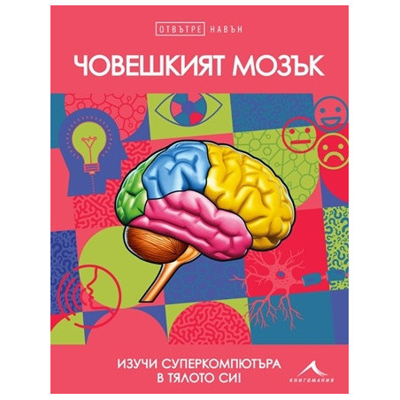 Човешкият мозък. Отвътре навън