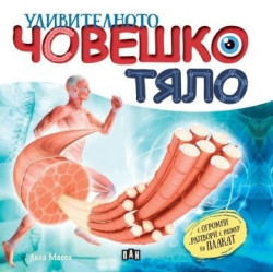 Удивителното човешко тяло