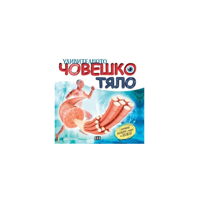 Удивителното човешко тяло