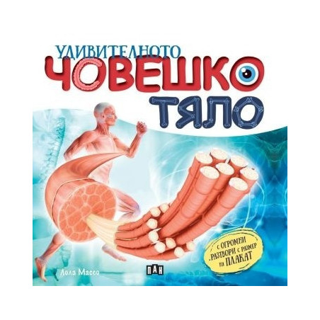 Удивителното човешко тяло