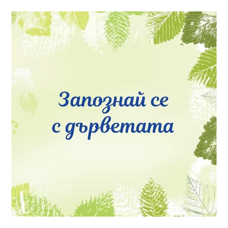Запознай се с дърветата