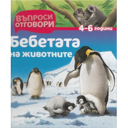Бебетата на животните 4-6 години/ Въпроси и отговори