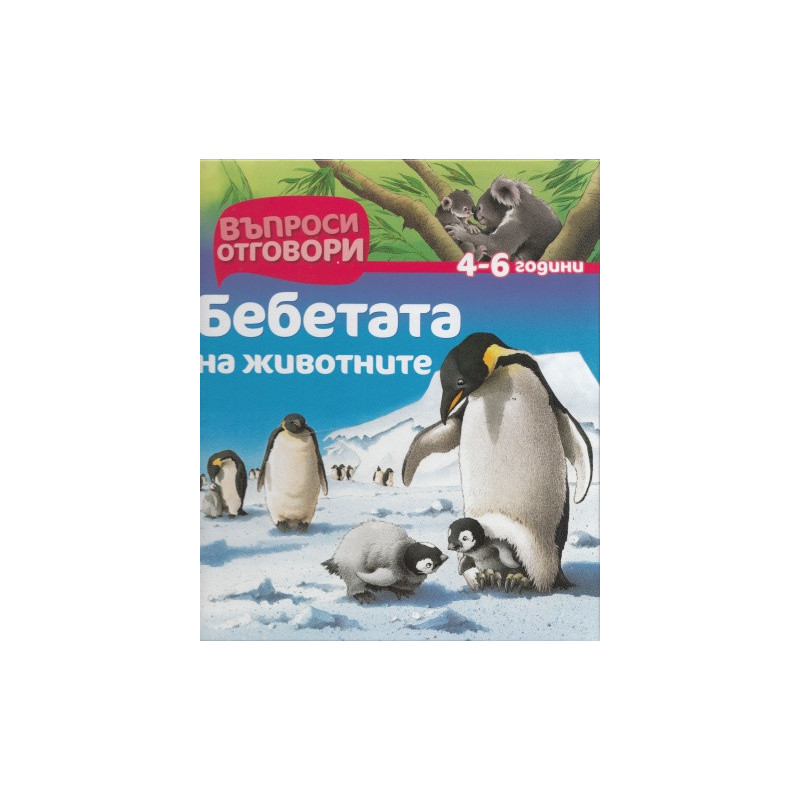 Бебетата на животните 4-6 години/ Въпроси и отговори